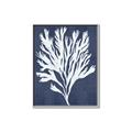 Picture of Navy Coral II  _GroupedProduct_Rectangle_Portrait_Canvas_Framed_