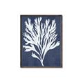Picture of Navy Coral II  _GroupedProduct_Rectangle_Portrait_Canvas_Framed_