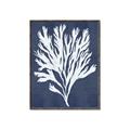 Picture of Navy Coral II  _GroupedProduct_Rectangle_Portrait_Canvas_Framed_
