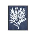 Picture of Navy Coral II  _GroupedProduct_Rectangle_Portrait_Canvas_Framed_