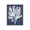 Picture of Navy Coral II  _GroupedProduct_Rectangle_Portrait_Canvas_Framed_