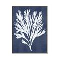 Picture of Navy Coral II  _GroupedProduct_Rectangle_Portrait_Canvas_Framed_
