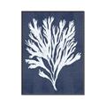 Picture of Navy Coral II  _GroupedProduct_Rectangle_Portrait_Canvas_Framed_