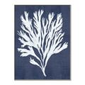 Picture of Navy Coral II  _GroupedProduct_Rectangle_Portrait_Canvas_Framed_