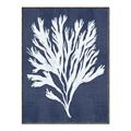 Picture of Navy Coral II  _GroupedProduct_Rectangle_Portrait_Canvas_Framed_