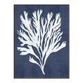 Picture of Navy Coral II  _GroupedProduct_Rectangle_Portrait_Canvas_Framed_