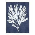 Picture of Navy Coral II  _GroupedProduct_Rectangle_Portrait_Canvas_Framed_