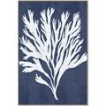 Picture of Navy Coral II  _GroupedProduct_Rectangle_Portrait_Canvas_Framed_