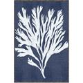 Picture of Navy Coral II  _GroupedProduct_Rectangle_Portrait_Canvas_Framed_