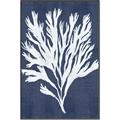 Picture of Navy Coral II  _GroupedProduct_Rectangle_Portrait_Canvas_Framed_