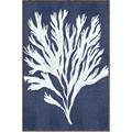 Picture of Navy Coral II  _GroupedProduct_Rectangle_Portrait_Canvas_Framed_