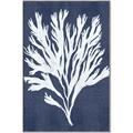 Picture of Navy Coral II  _GroupedProduct_Rectangle_Portrait_Canvas_Framed_