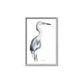 Picture of Egret I  _GroupedProduct_Rectangle_Portrait_Canvas_Framed_