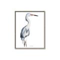 Picture of Egret I  _GroupedProduct_Rectangle_Portrait_Canvas_Framed_