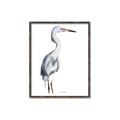 Picture of Egret I  _GroupedProduct_Rectangle_Portrait_Canvas_Framed_