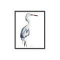 Picture of Egret I  _GroupedProduct_Rectangle_Portrait_Canvas_Framed_