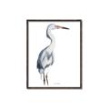 Picture of Egret I  _GroupedProduct_Rectangle_Portrait_Canvas_Framed_