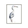 Picture of Egret I  _GroupedProduct_Rectangle_Portrait_Canvas_Framed_