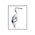 Picture of Egret I  _GroupedProduct_Rectangle_Portrait_Canvas_Framed_