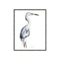 Picture of Egret I  _GroupedProduct_Rectangle_Portrait_Canvas_Framed_