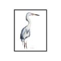 Picture of Egret I  _GroupedProduct_Rectangle_Portrait_Canvas_Framed_
