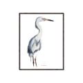 Picture of Egret I  _GroupedProduct_Rectangle_Portrait_Canvas_Framed_
