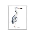 Picture of Egret I  _GroupedProduct_Rectangle_Portrait_Canvas_Framed_