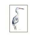 Picture of Egret I  _GroupedProduct_Rectangle_Portrait_Canvas_Framed_