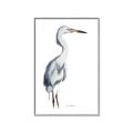 Picture of Egret I  _GroupedProduct_Rectangle_Portrait_Canvas_Framed_