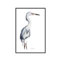 Picture of Egret I  _GroupedProduct_Rectangle_Portrait_Canvas_Framed_