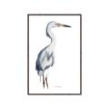 Picture of Egret I  _GroupedProduct_Rectangle_Portrait_Canvas_Framed_