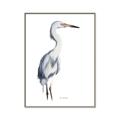 Picture of Egret I  _GroupedProduct_Rectangle_Portrait_Canvas_Framed_