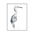Picture of Egret I  _GroupedProduct_Rectangle_Portrait_Canvas_Framed_