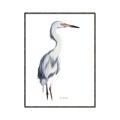 Picture of Egret I  _GroupedProduct_Rectangle_Portrait_Canvas_Framed_