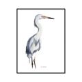 Picture of Egret I  _GroupedProduct_Rectangle_Portrait_Canvas_Framed_