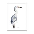 Picture of Egret I  _GroupedProduct_Rectangle_Portrait_Canvas_Framed_