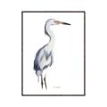 Picture of Egret I  _GroupedProduct_Rectangle_Portrait_Canvas_Framed_