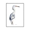 Picture of Egret I  _GroupedProduct_Rectangle_Portrait_Canvas_Framed_