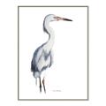 Picture of Egret I  _GroupedProduct_Rectangle_Portrait_Canvas_Framed_