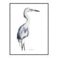 Picture of Egret I  _GroupedProduct_Rectangle_Portrait_Canvas_Framed_