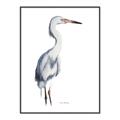 Picture of Egret I  _GroupedProduct_Rectangle_Portrait_Canvas_Framed_