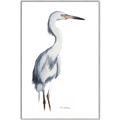 Picture of Egret I  _GroupedProduct_Rectangle_Portrait_Canvas_Framed_