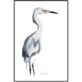 Picture of Egret I  _GroupedProduct_Rectangle_Portrait_Canvas_Framed_