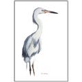 Picture of Egret I  _GroupedProduct_Rectangle_Portrait_Canvas_Framed_