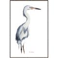 Picture of Egret I  _GroupedProduct_Rectangle_Portrait_Canvas_Framed_