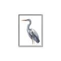 Picture of Egret II  _GroupedProduct_Rectangle_Portrait_Canvas_Framed_