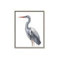 Picture of Egret II  _GroupedProduct_Rectangle_Portrait_Canvas_Framed_