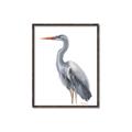 Picture of Egret II  _GroupedProduct_Rectangle_Portrait_Canvas_Framed_
