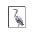 Picture of Egret II  _GroupedProduct_Rectangle_Portrait_Canvas_Framed_