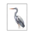 Picture of Egret II  _GroupedProduct_Rectangle_Portrait_Canvas_Framed_